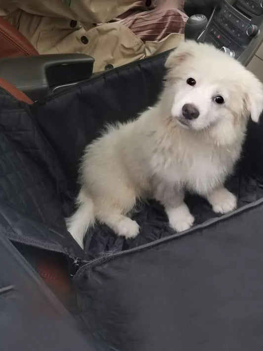  Breathable Pet Car Hanging Bag - Waterproof & Anti Slip